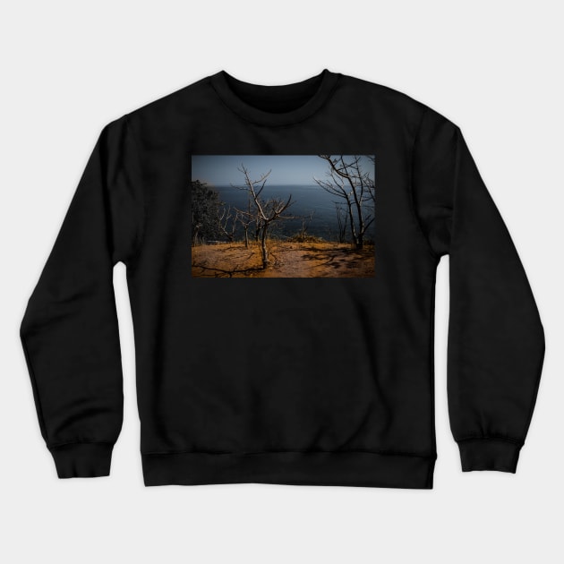 Brown Earth Crewneck Sweatshirt by fotoWerner